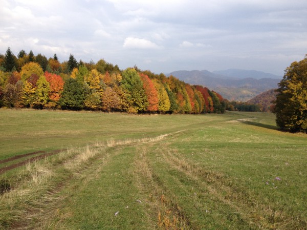 Slovaquie paysage automne arbes