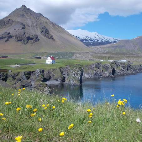 Anastrapi Islande carre 72 dpi
